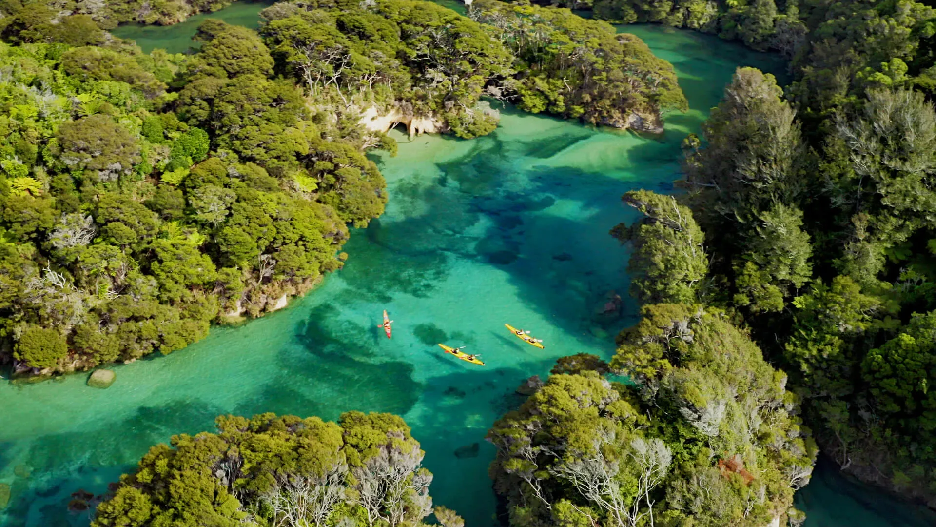 A swimmer beneath clear water beside two paddlers in a yellow double kayak