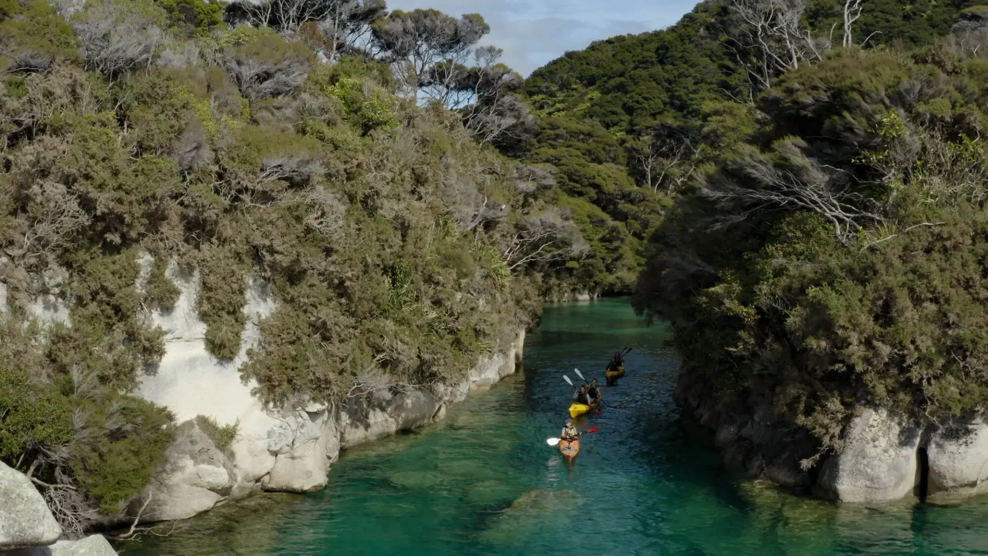 Yellow kayaks exploring a narrow inlet between forested rocky shores